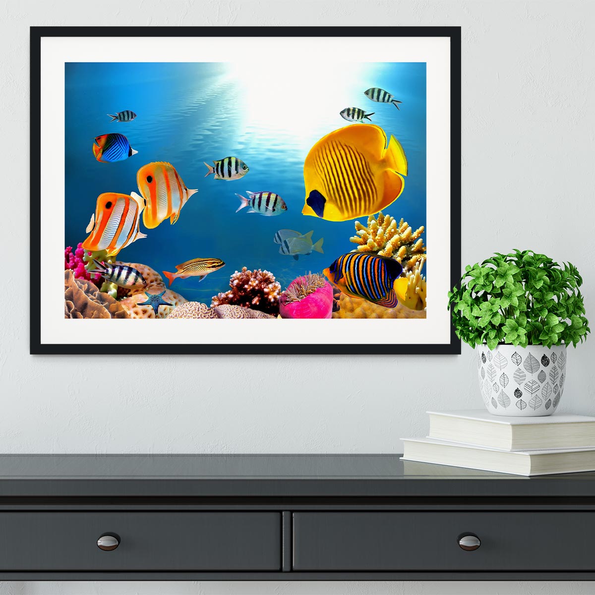 Photo of a coral colony Framed Print - Canvas Art Rocks - 1