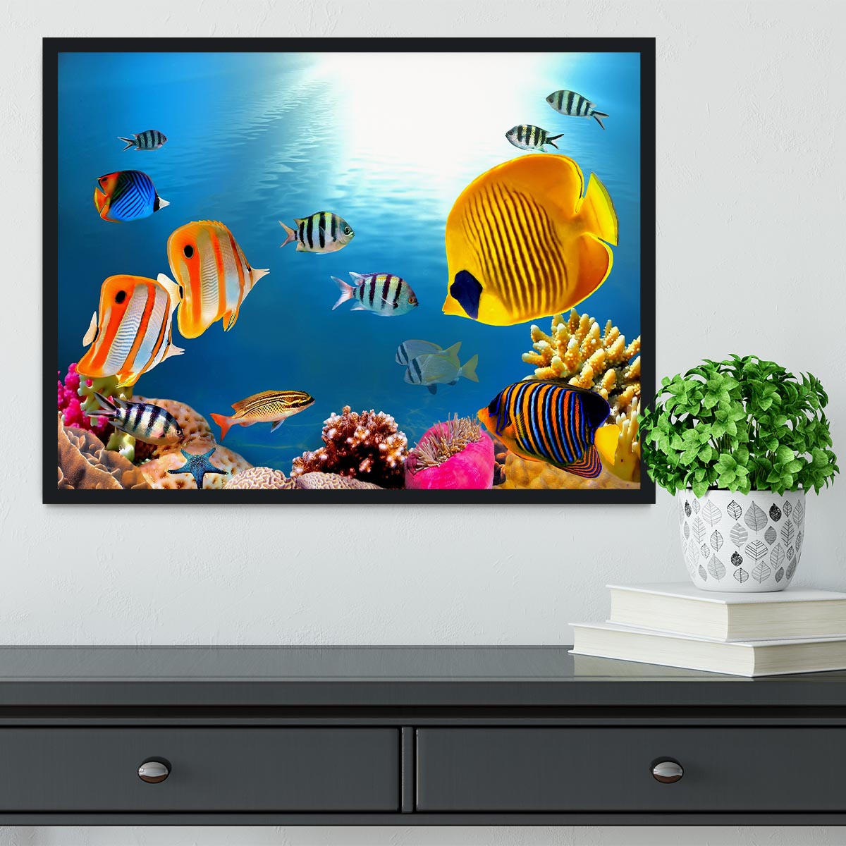 Photo of a coral colony Framed Print - Canvas Art Rocks - 2