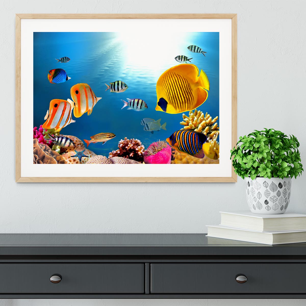 Photo of a coral colony Framed Print - Canvas Art Rocks - 3