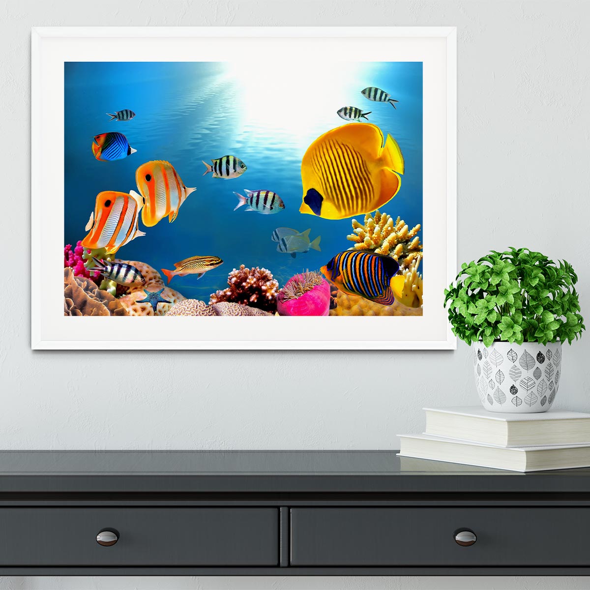 Photo of a coral colony Framed Print - Canvas Art Rocks - 5
