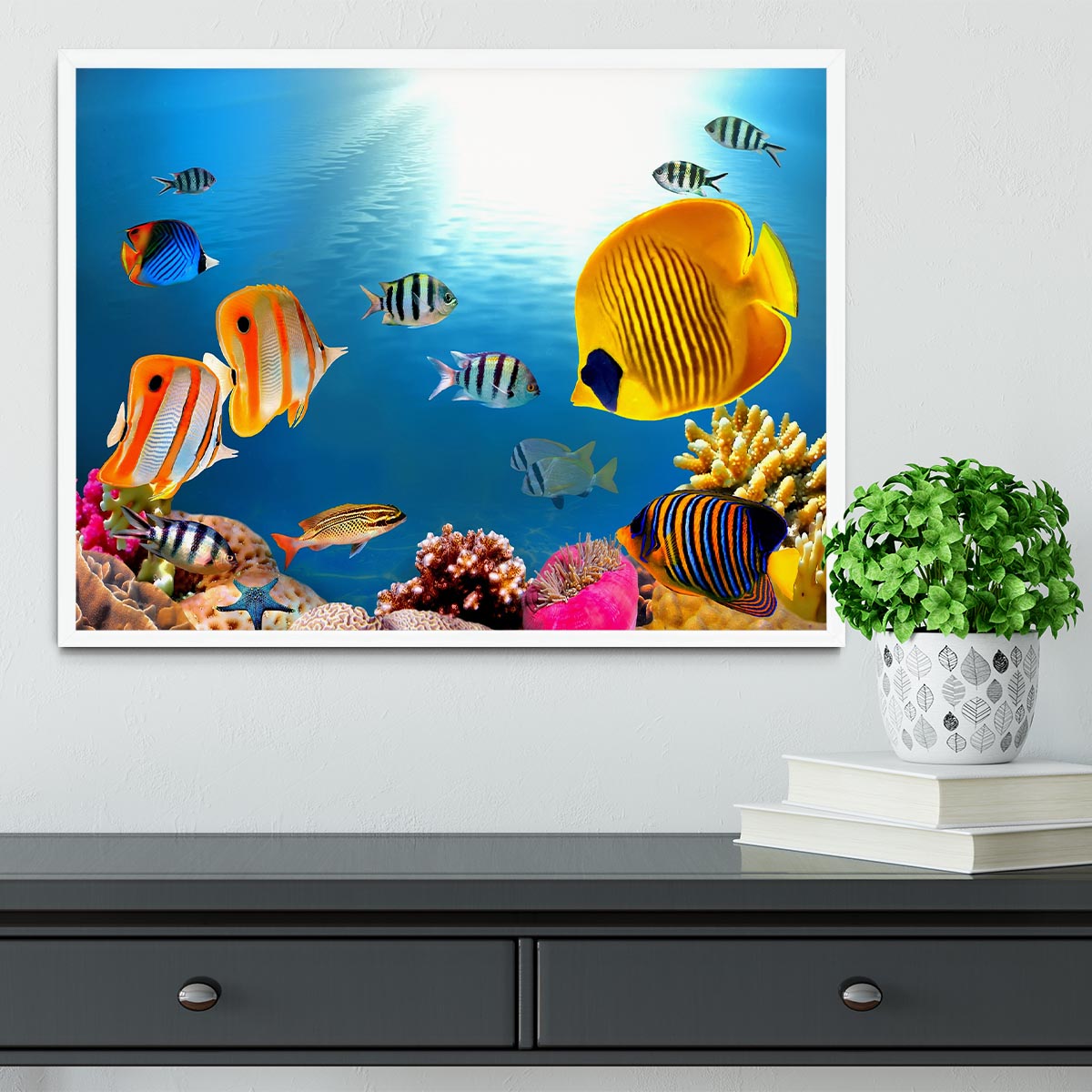 Photo of a coral colony Framed Print - Canvas Art Rocks -6