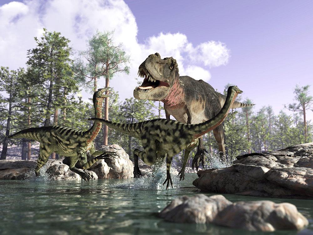 Photorealistic 3 D scene of a Tyrannosaurus Rex Wall Mural Wallpaper - Canvas Art Rocks - 1