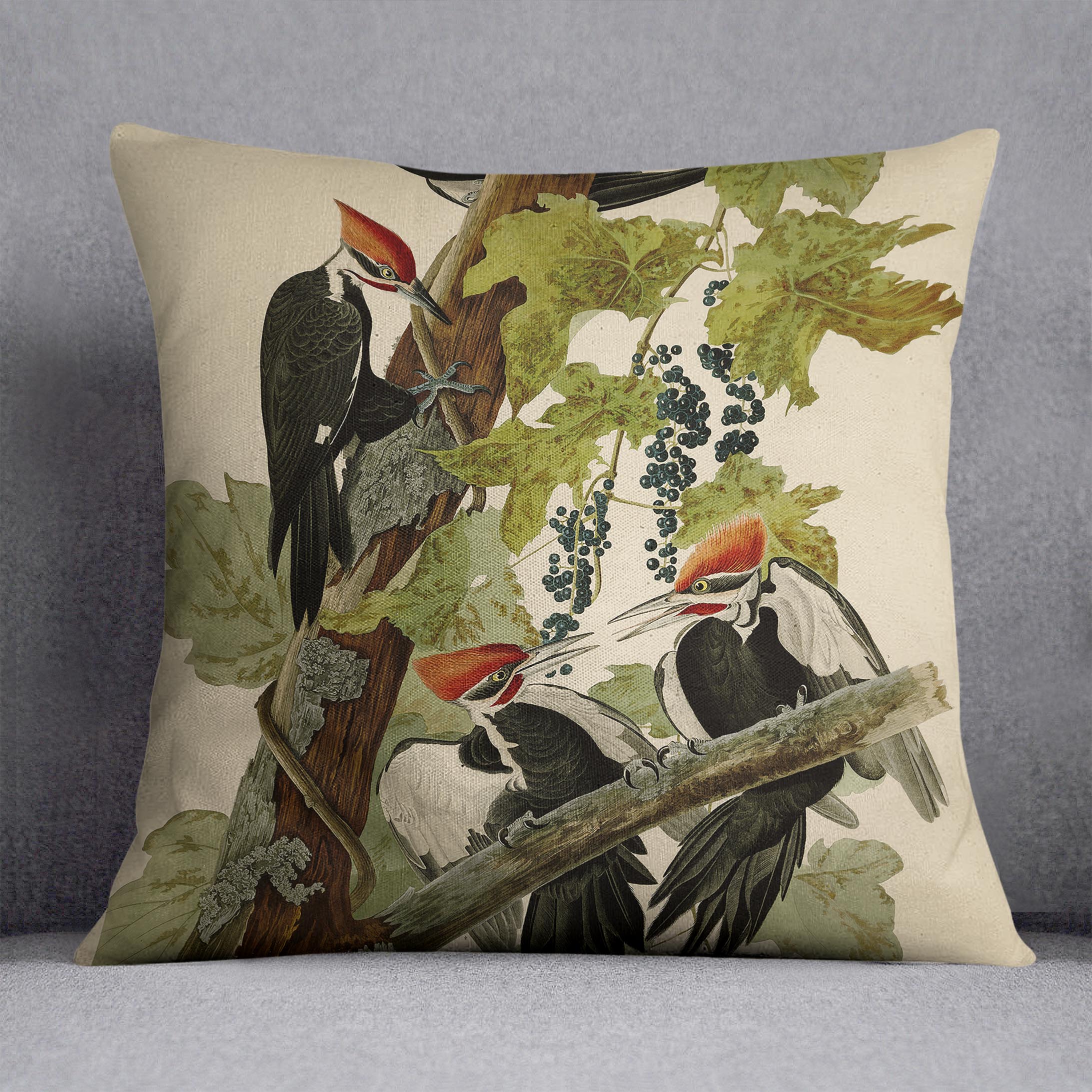 Pileated Woodpecker by Audubon Cushion