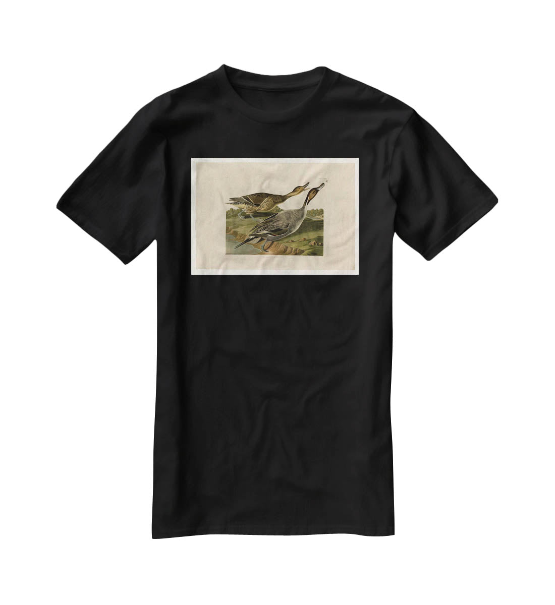 Pin tailed Duck by Audubon T-Shirt - Canvas Art Rocks - 1