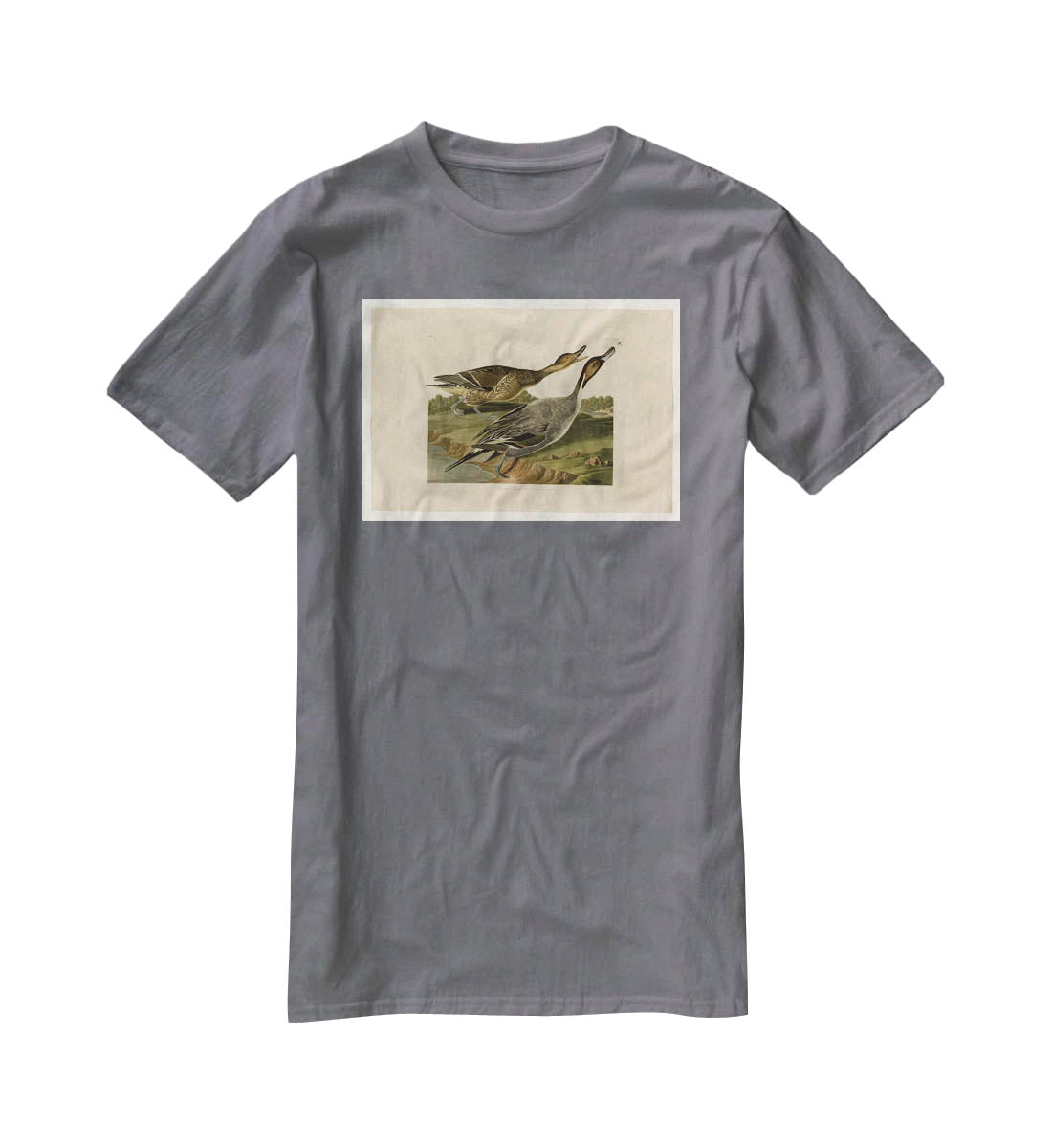 Pin tailed Duck by Audubon T-Shirt - Canvas Art Rocks - 3