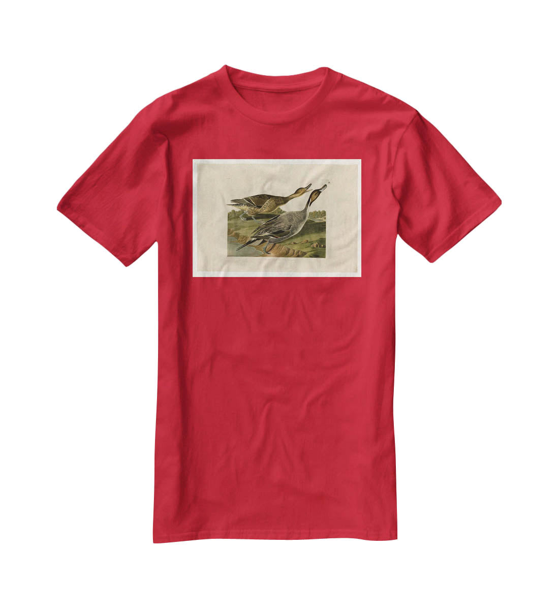 Pin tailed Duck by Audubon T-Shirt - Canvas Art Rocks - 4