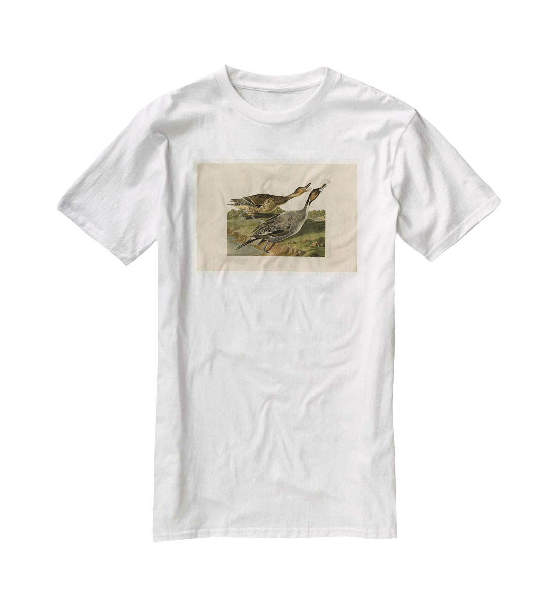 Pin tailed Duck by Audubon T-Shirt - Canvas Art Rocks - 5