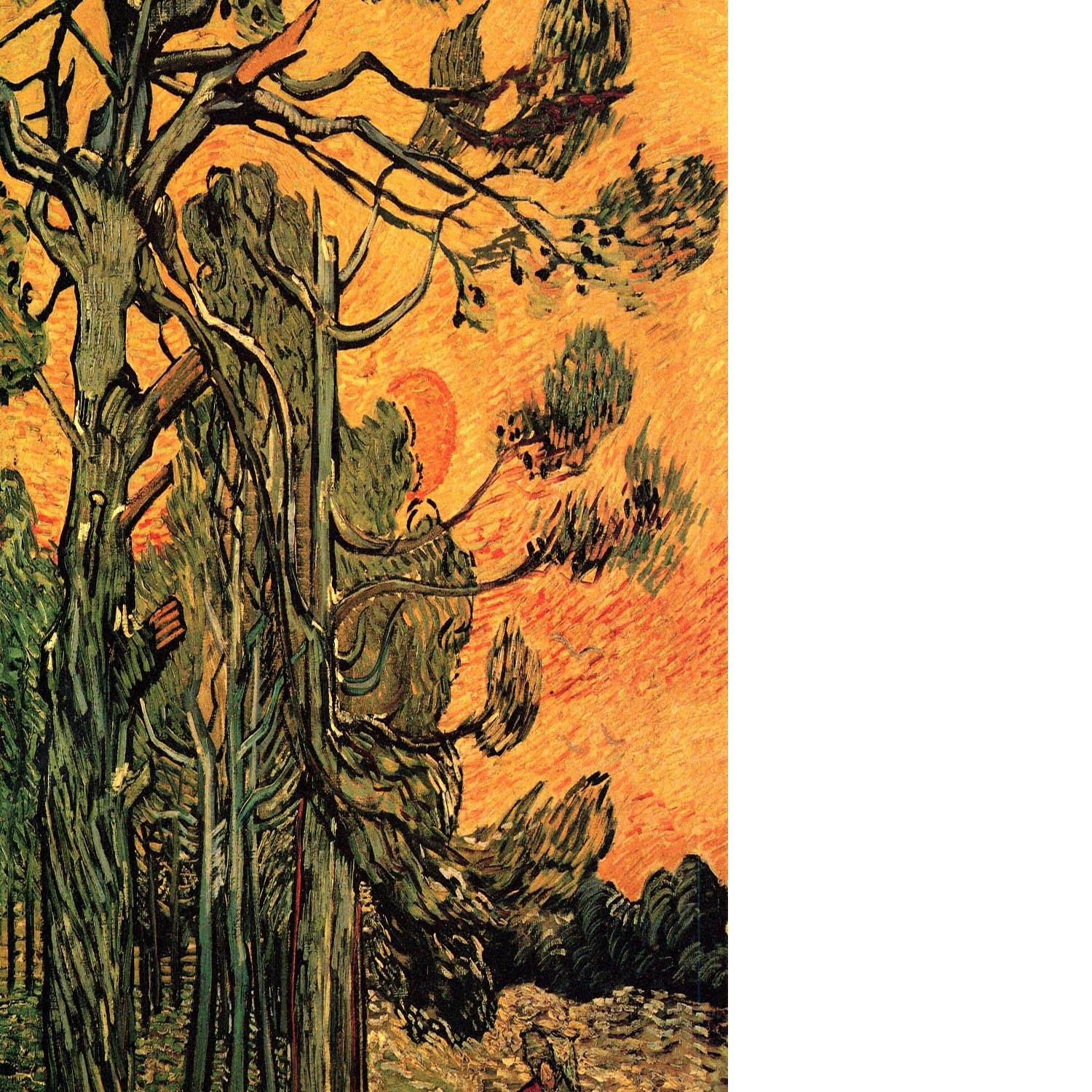 Pine Trees against a Red Sky with Setting Sun by Van Gogh Floating Framed Canvas