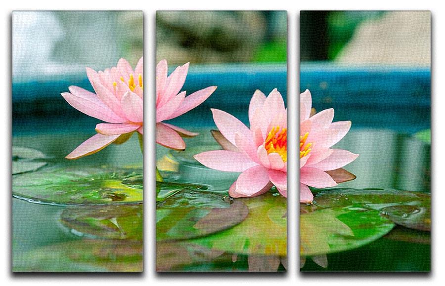 Pink Lotus or water lily in pond 3 Split Panel Canvas Print - Canvas Art Rocks - 1