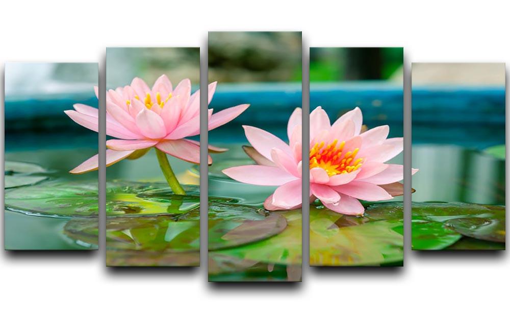 Pink Lotus or water lily in pond 5 Split Panel Canvas  - Canvas Art Rocks - 1