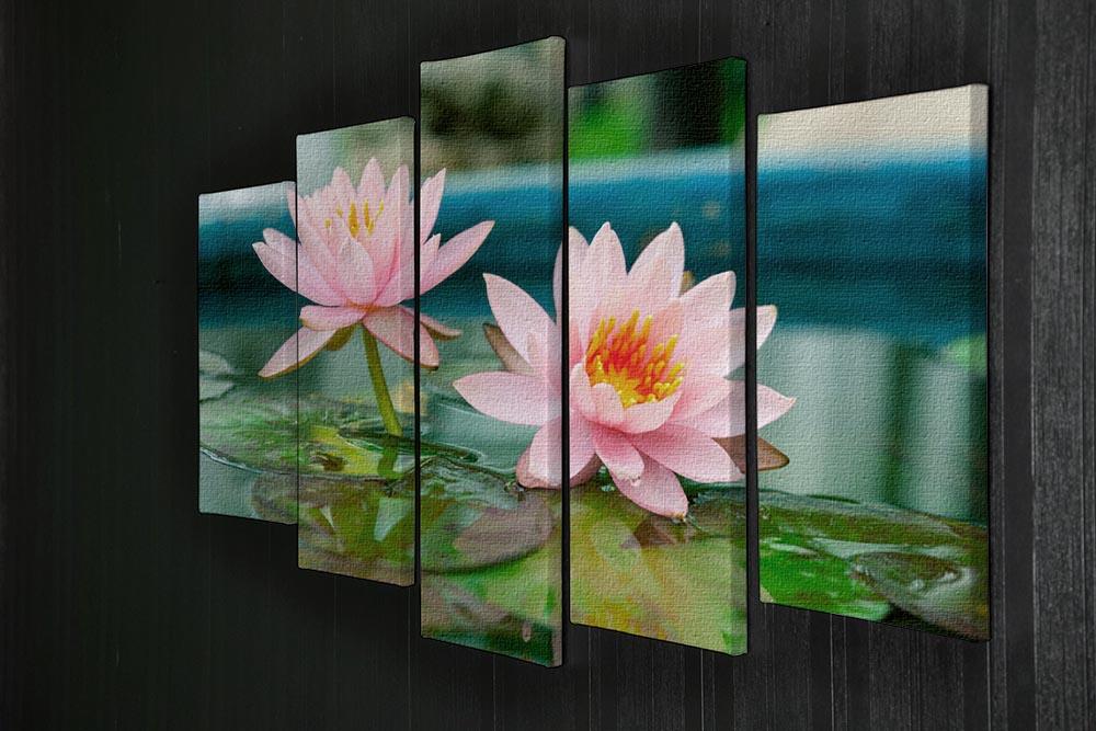 Pink Lotus or water lily in pond 5 Split Panel Canvas  - Canvas Art Rocks - 2