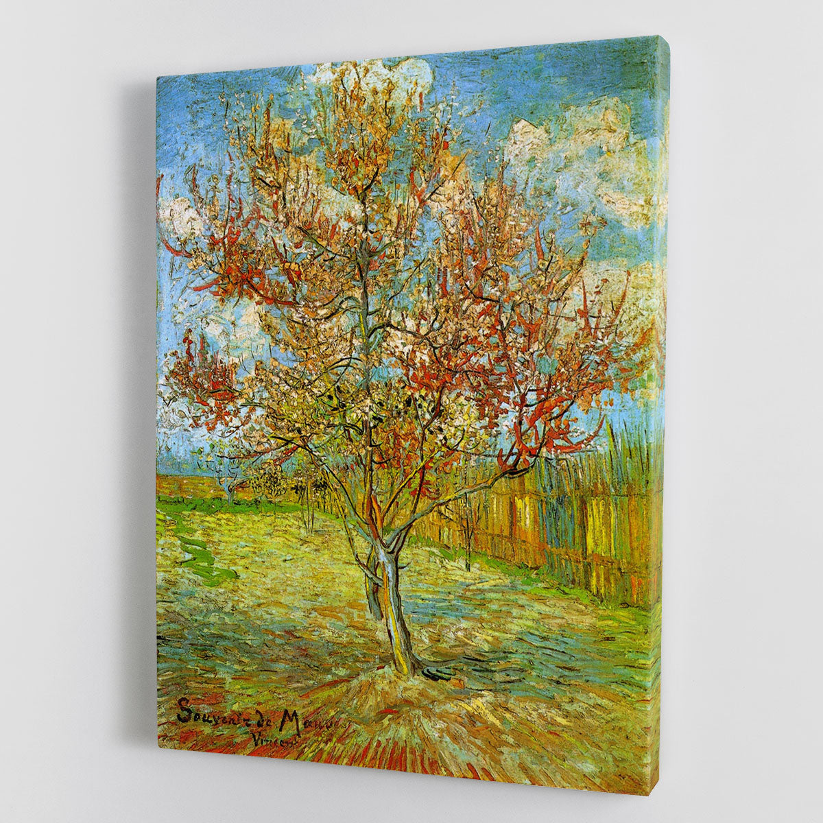 Pink Peach Tree in Blossom Reminiscence of Mauve by Van Gogh Canvas Print or Poster - Canvas Art Rocks - 1