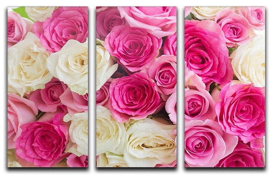 Pink and white fresh rose flowers 3 Split Panel Canvas Print - Canvas Art Rocks - 1