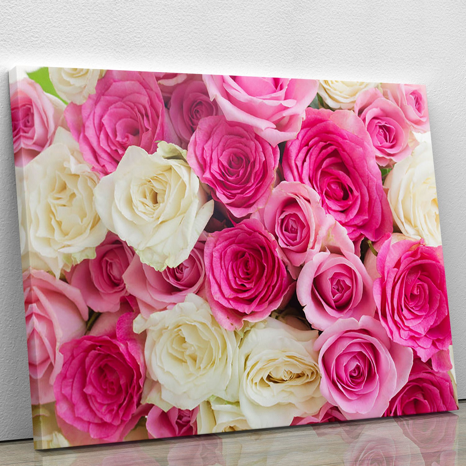 Pink and white fresh rose flowers Canvas Print or Poster - Canvas Art Rocks - 1