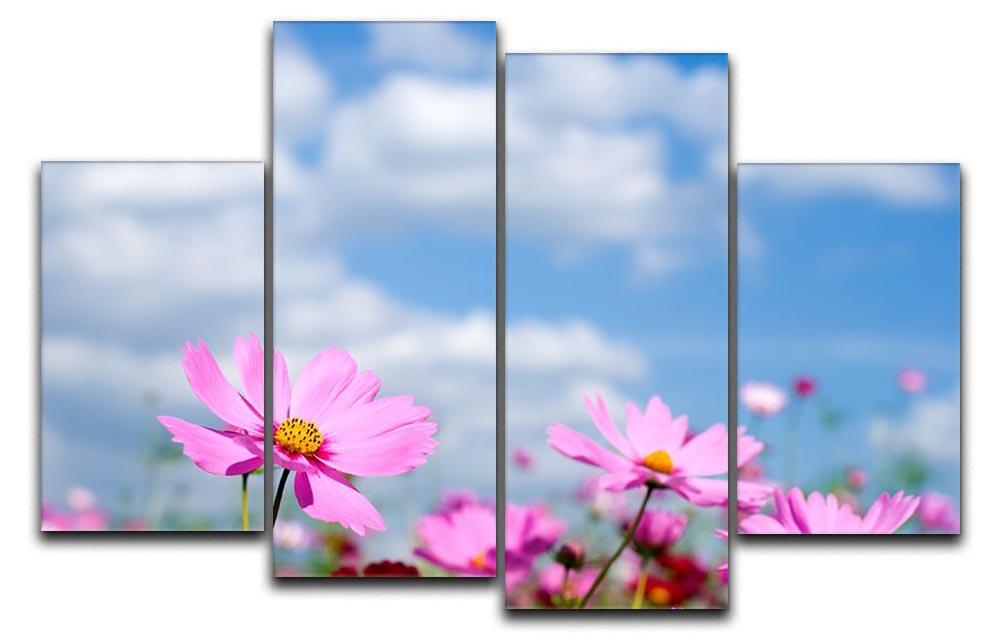 Pink cosmos field and sky 4 Split Panel Canvas  - Canvas Art Rocks - 1