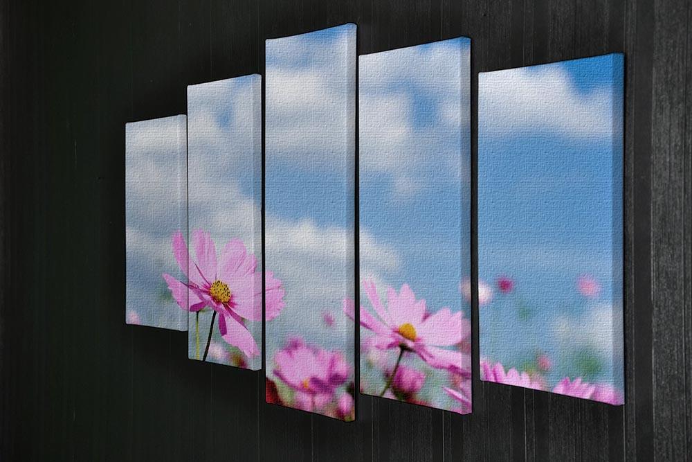 Pink cosmos field and sky 5 Split Panel Canvas  - Canvas Art Rocks - 2