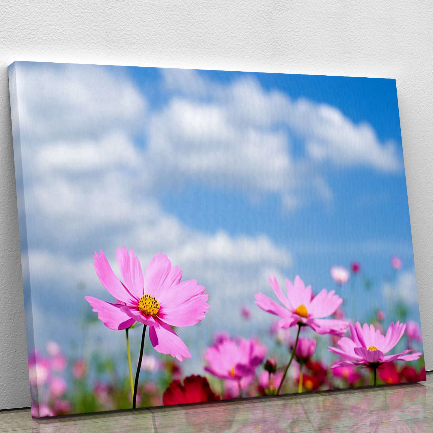 Pink cosmos field and sky Canvas Print or Poster - Canvas Art Rocks - 1