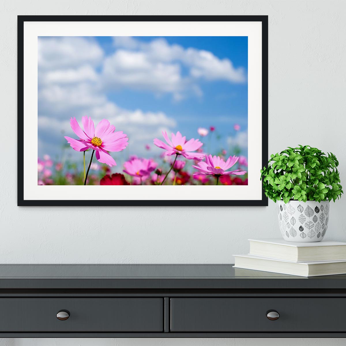 Pink cosmos field and sky Framed Print - Canvas Art Rocks - 1