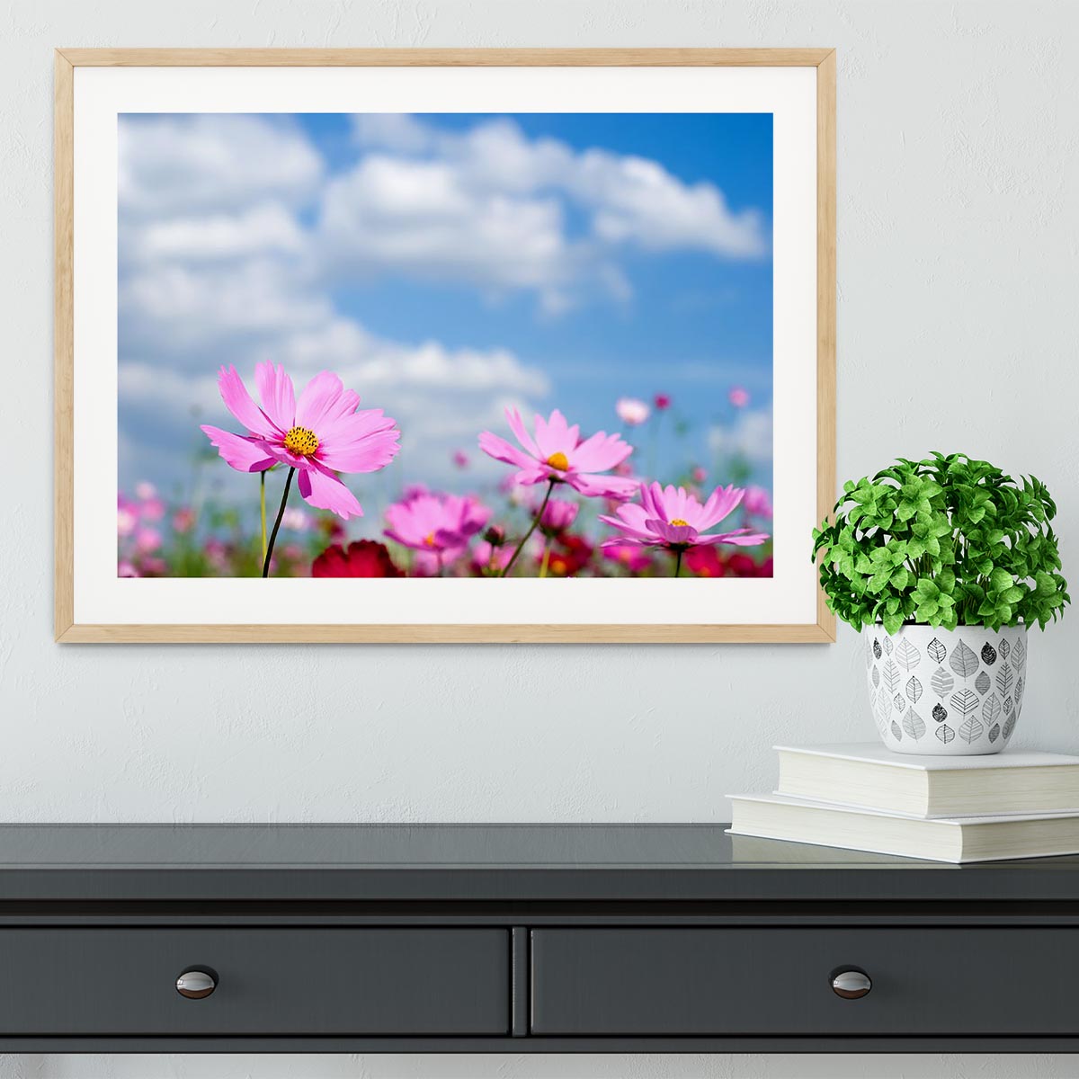 Pink cosmos field and sky Framed Print - Canvas Art Rocks - 3