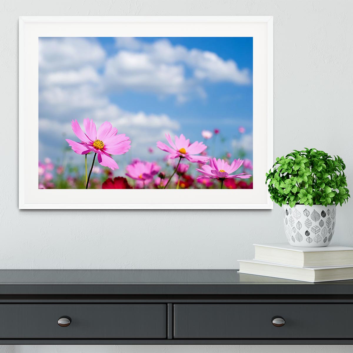 Pink cosmos field and sky Framed Print - Canvas Art Rocks - 5
