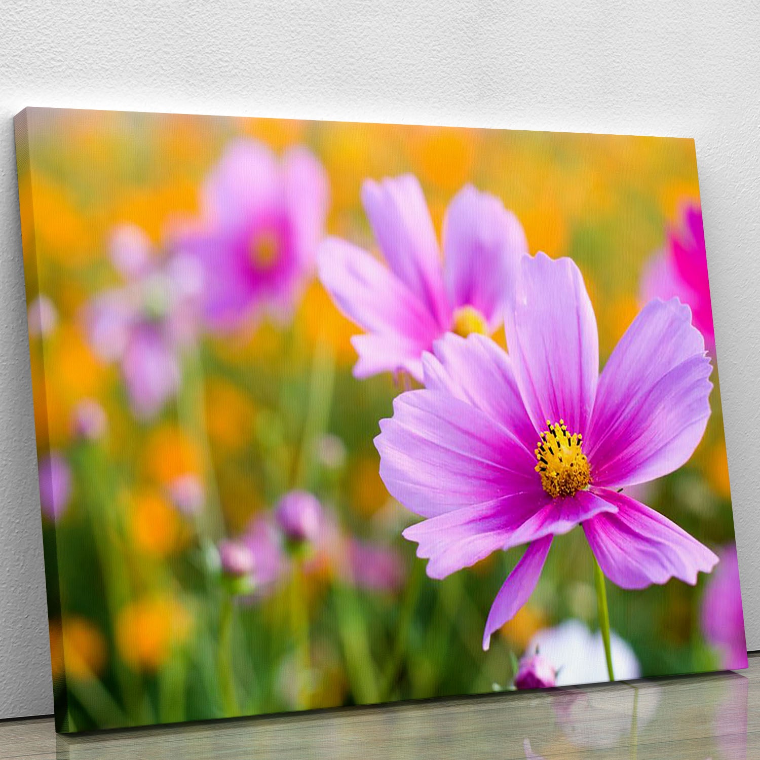 Pink cosmos in the flower fields Canvas Print or Poster - Canvas Art Rocks - 1