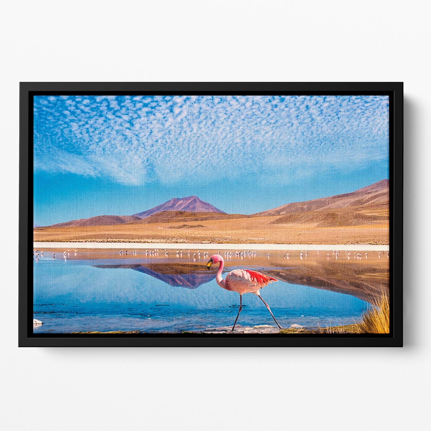 Pink flamingo walking through scene Floating Framed Canvas - Canvas Art Rocks - 2