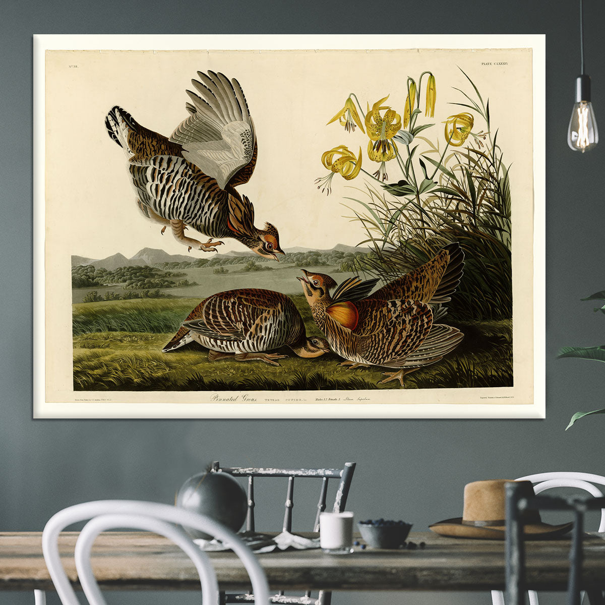 Pinnated Grouse by Audubon Canvas Print or Poster - Canvas Art Rocks - 3