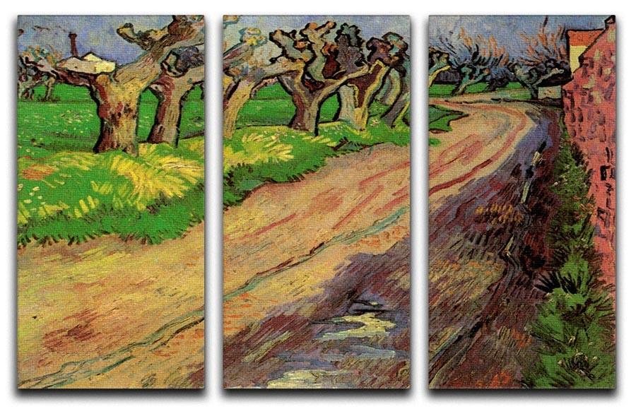 Pollard Willows by Van Gogh 3 Split Panel Canvas Print - Canvas Art Rocks - 4