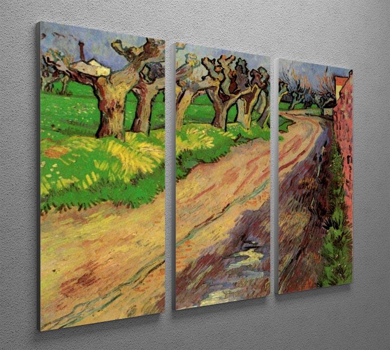 Pollard Willows by Van Gogh 3 Split Panel Canvas Print - Canvas Art Rocks - 4