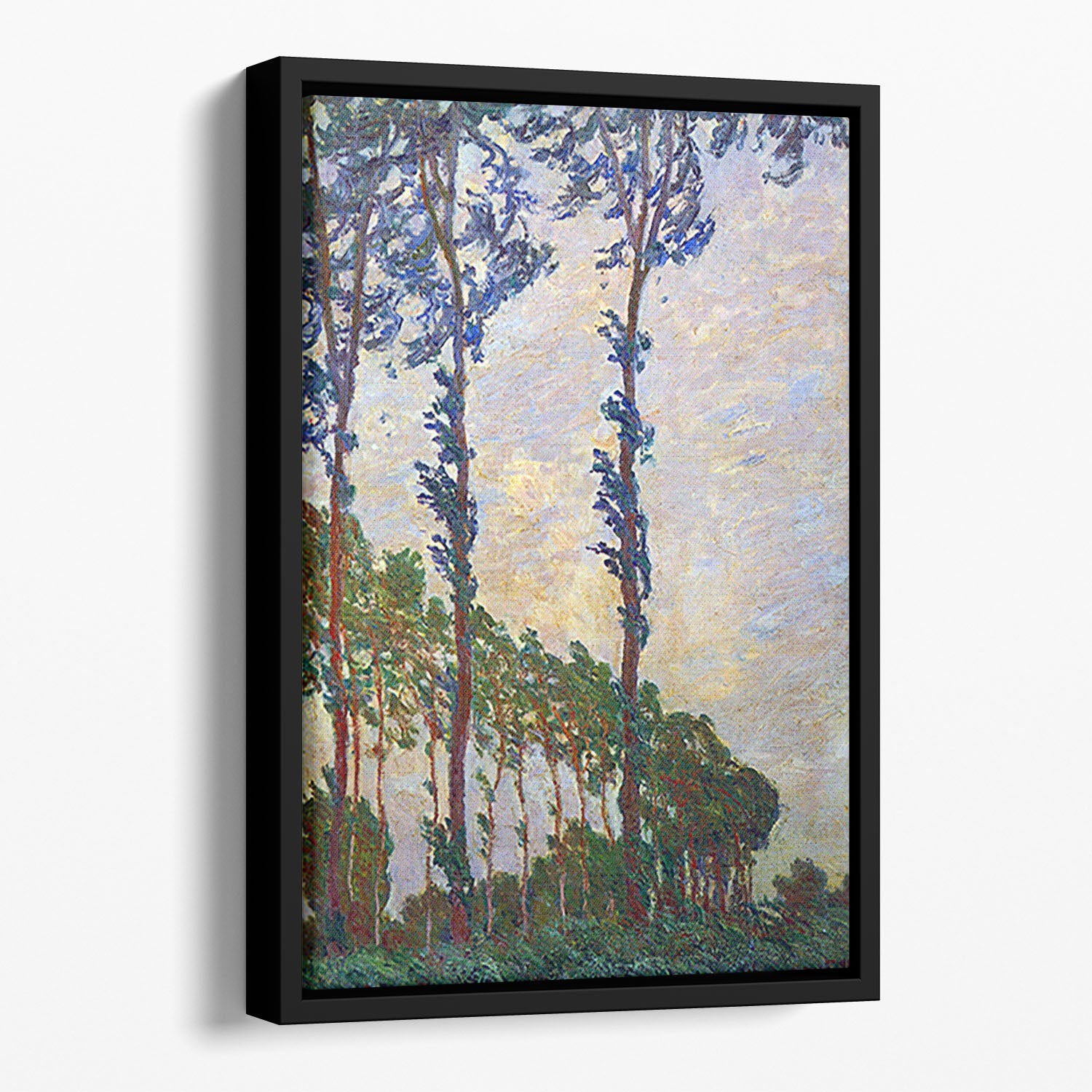 Poplar series wind by Monet Floating Framed Canvas