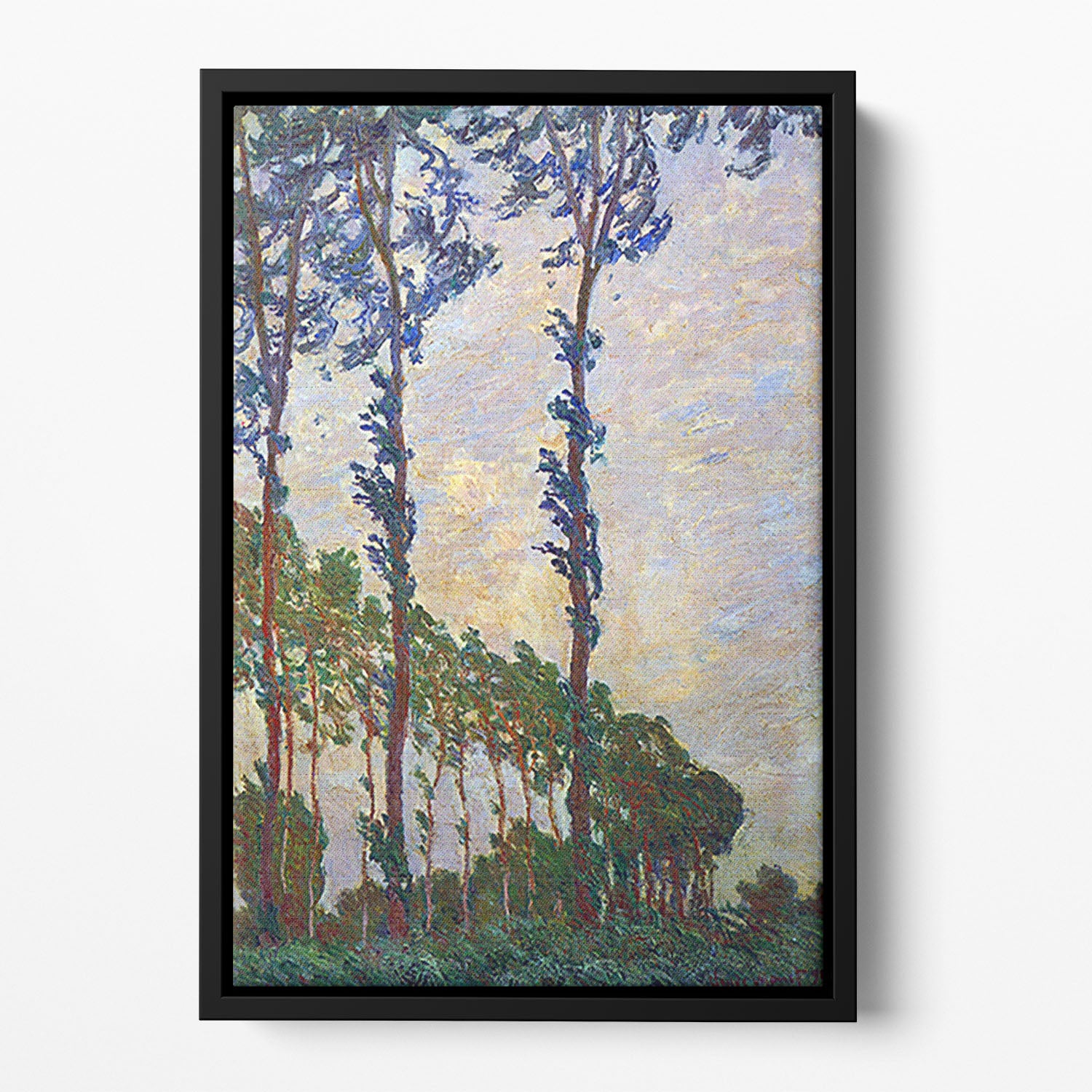 Poplar series wind by Monet Floating Framed Canvas