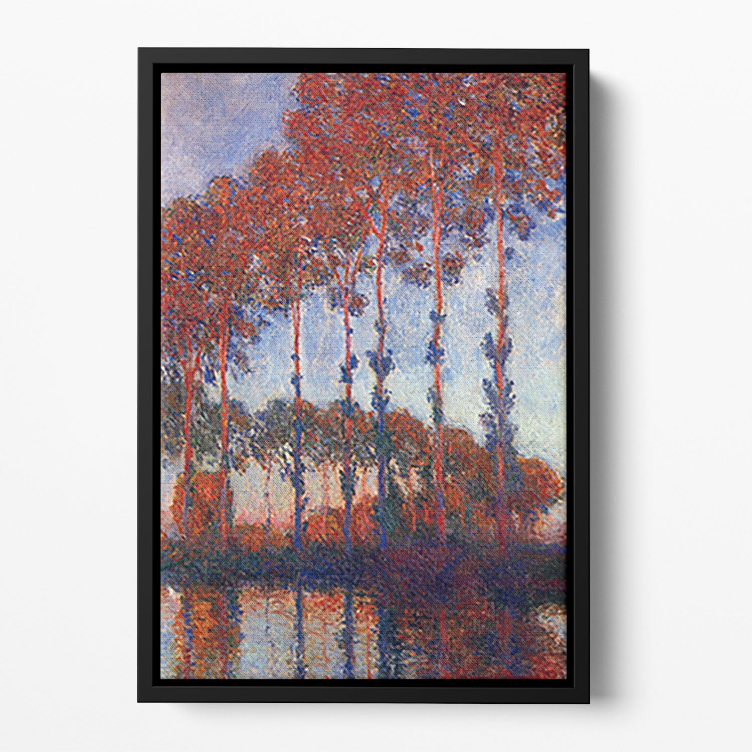 Poplars by Monet Floating Framed Canvas
