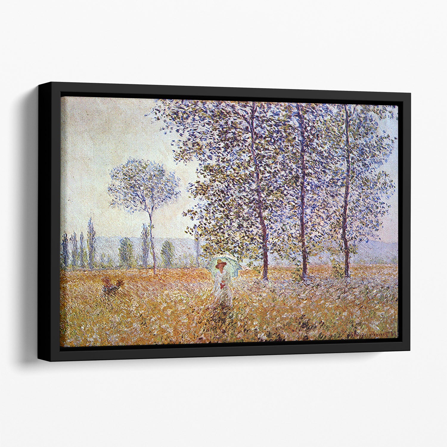 Poplars in the sunlight by Monet Floating Framed Canvas