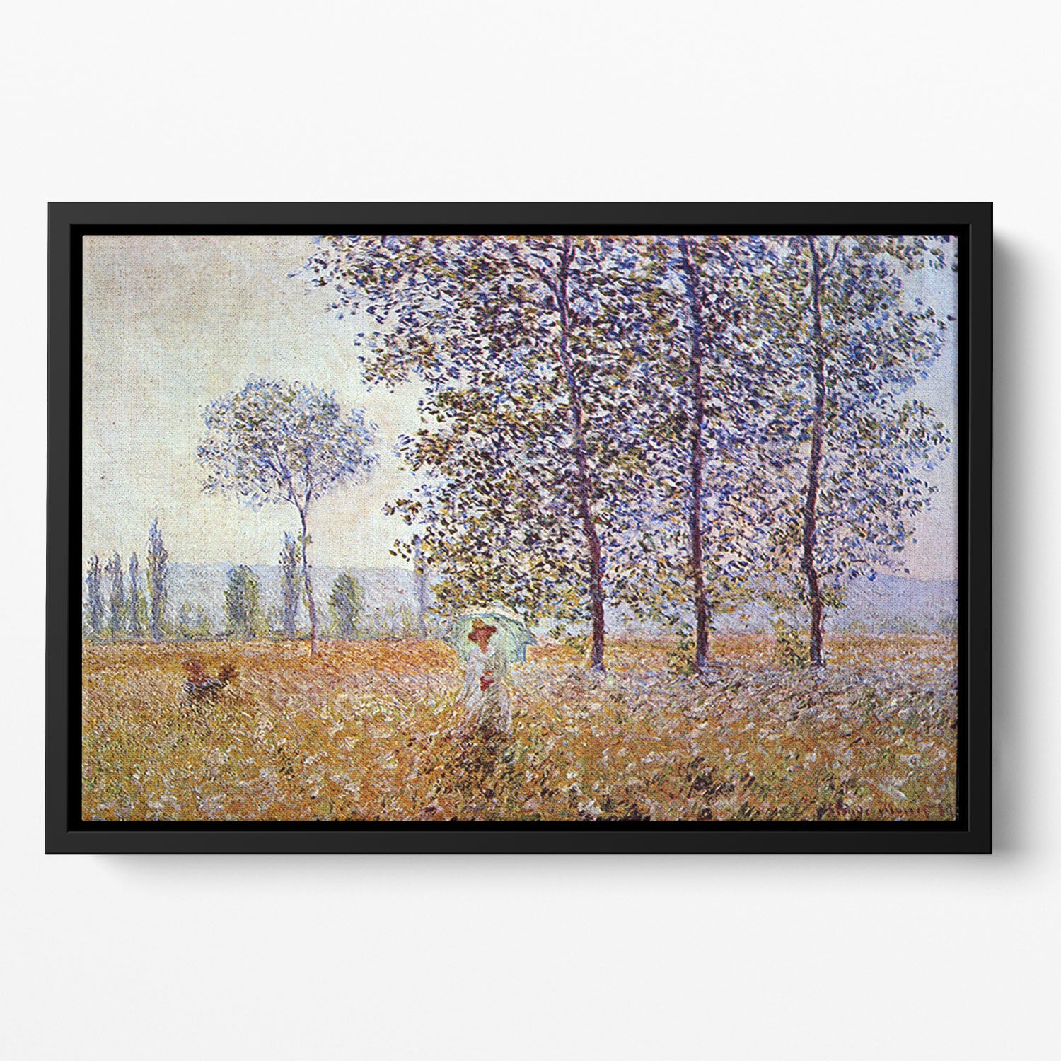 Poplars in the sunlight by Monet Floating Framed Canvas