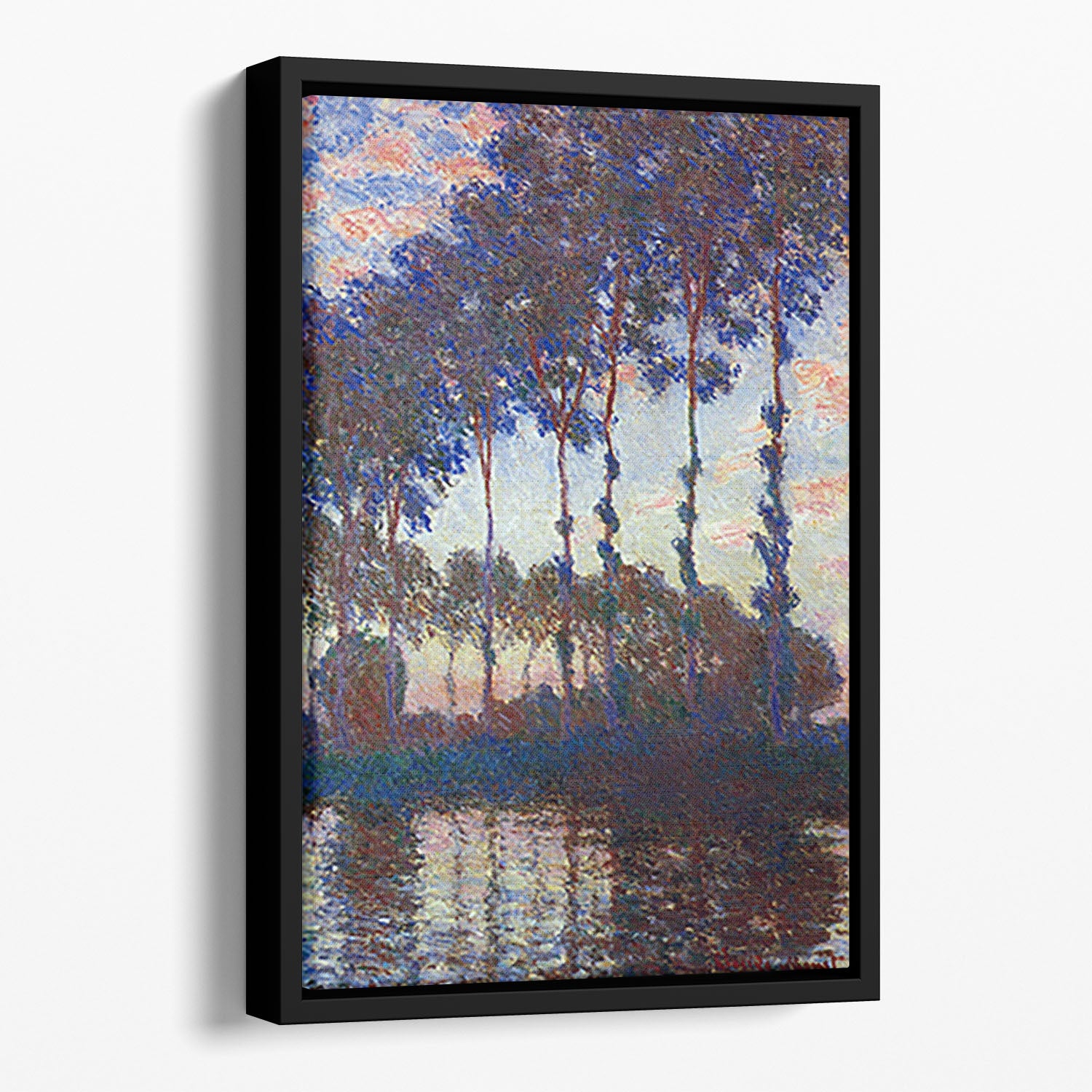 Poplars sunset by Monet Floating Framed Canvas