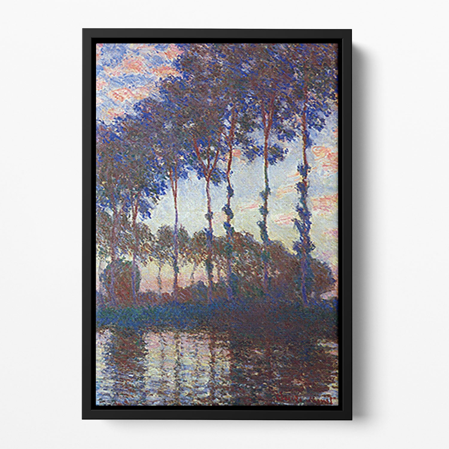 Poplars sunset by Monet Floating Framed Canvas