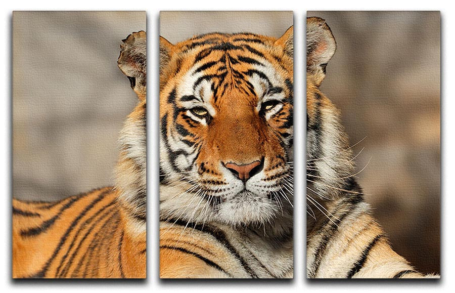 Portrait of a Bengal tiger 3 Split Panel Canvas Print - Canvas Art Rocks - 1
