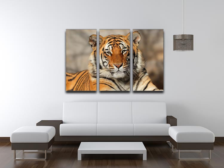 Portrait of a Bengal tiger 3 Split Panel Canvas Print - Canvas Art Rocks - 3