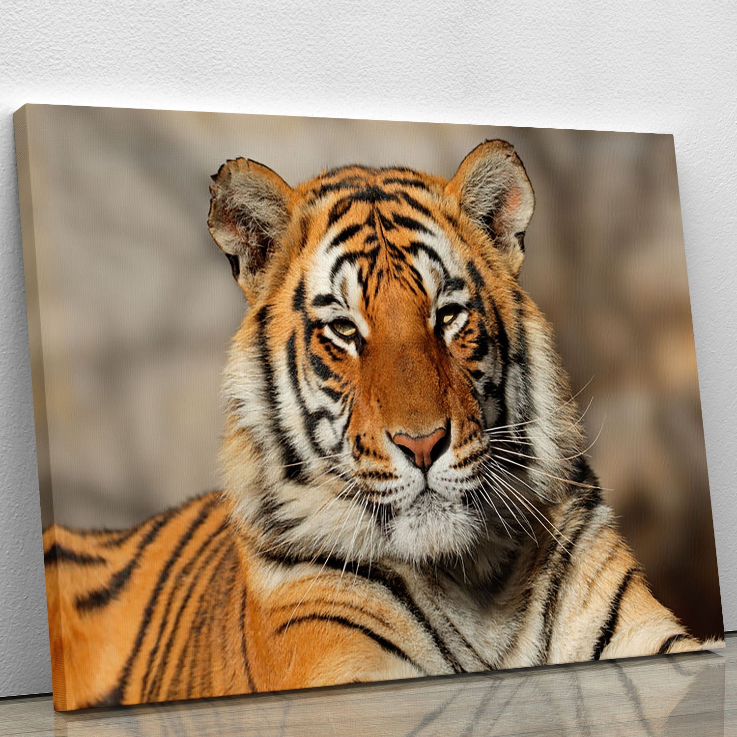 Portrait of a Bengal tiger Canvas Print or Poster - Canvas Art Rocks - 1