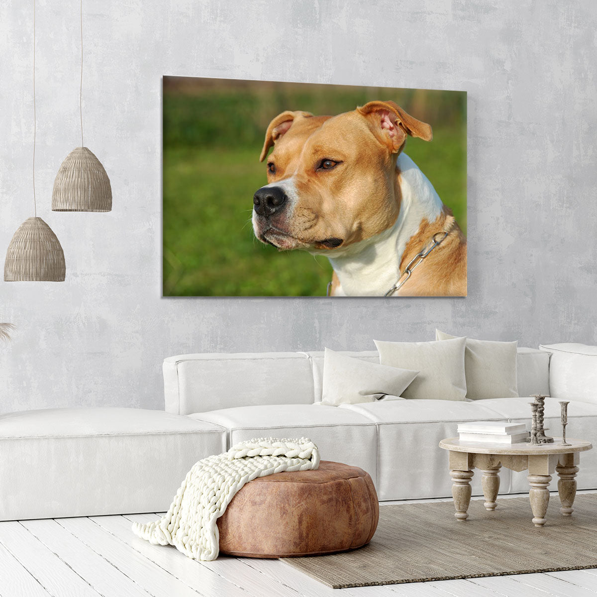 Portrait of a beautiful female purebred American Staffordshire Terrier Canvas Print or Poster - Canvas Art Rocks - 6
