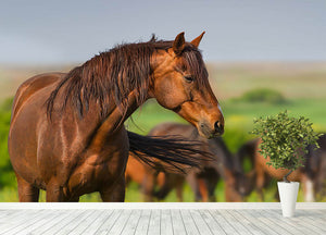 Portrait of red horse in herd on spring pasture Wall Mural Wallpaper - Canvas Art Rocks - 4