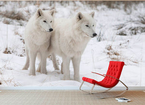 Portrait of two white watchful arctic wolfs Wall Mural Wallpaper - Canvas Art Rocks - 2