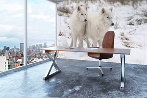 Portrait of two white watchful arctic wolfs Wall Mural Wallpaper - Canvas Art Rocks - 3