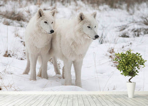 Portrait of two white watchful arctic wolfs Wall Mural Wallpaper - Canvas Art Rocks - 4