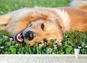 Portrait young dog playing in the meadow Wall Mural Wallpaper - Canvas Art Rocks - 4