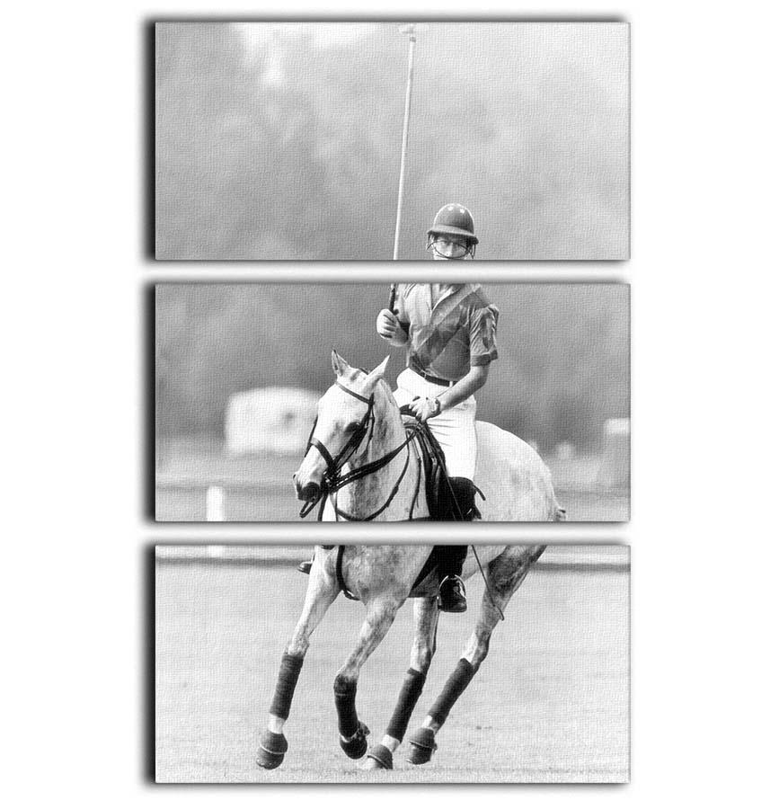 Prince Charles in action on the polo field 3 Split Panel Canvas Print - Canvas Art Rocks - 1