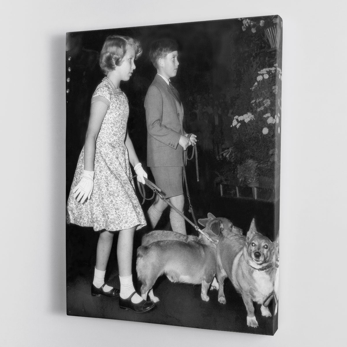 Prince Charles with Princess Anne as children with pet dogs Canvas Print or Poster - Canvas Art Rocks - 1