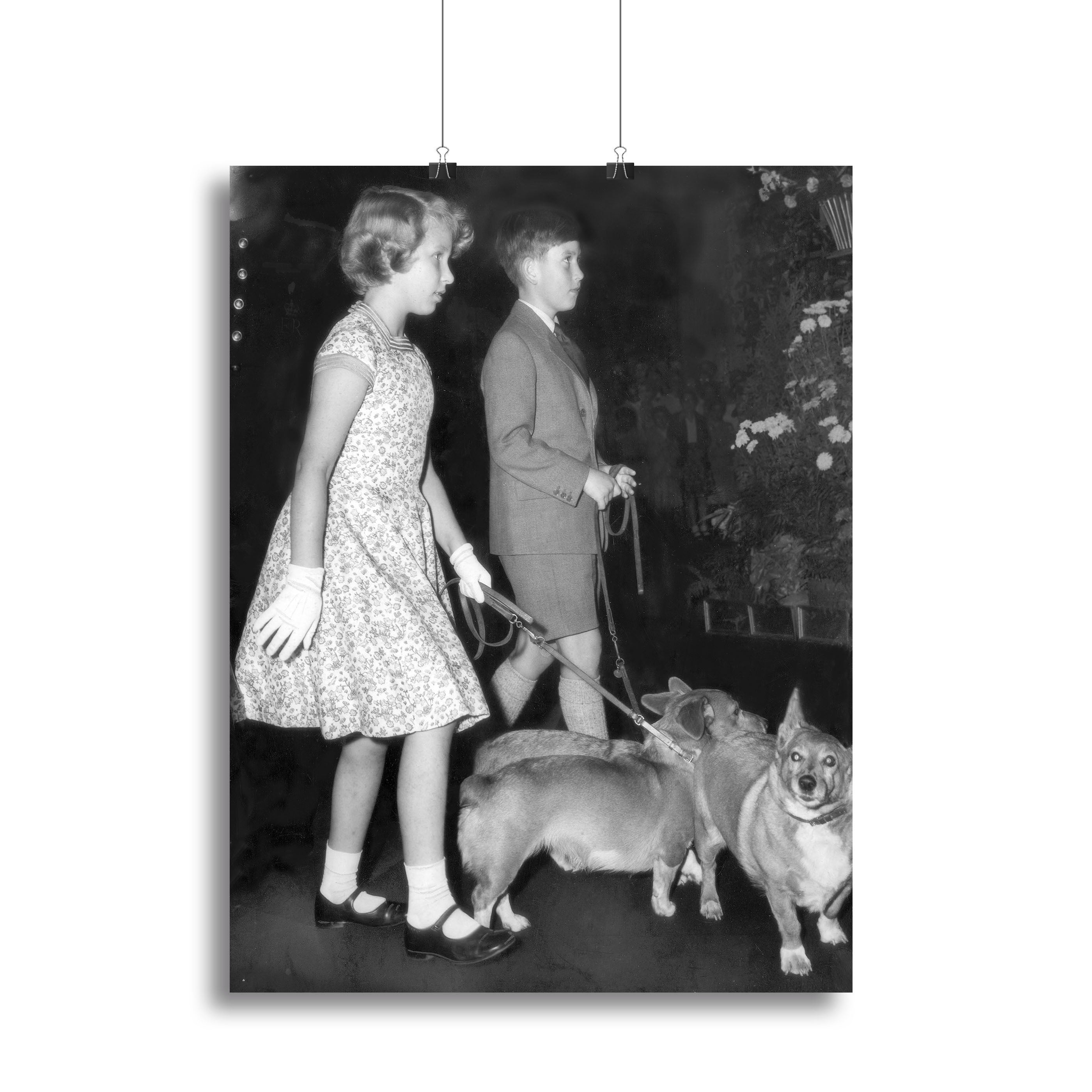 Prince Charles with Princess Anne as children with pet dogs Canvas Print or Poster - Canvas Art Rocks - 2
