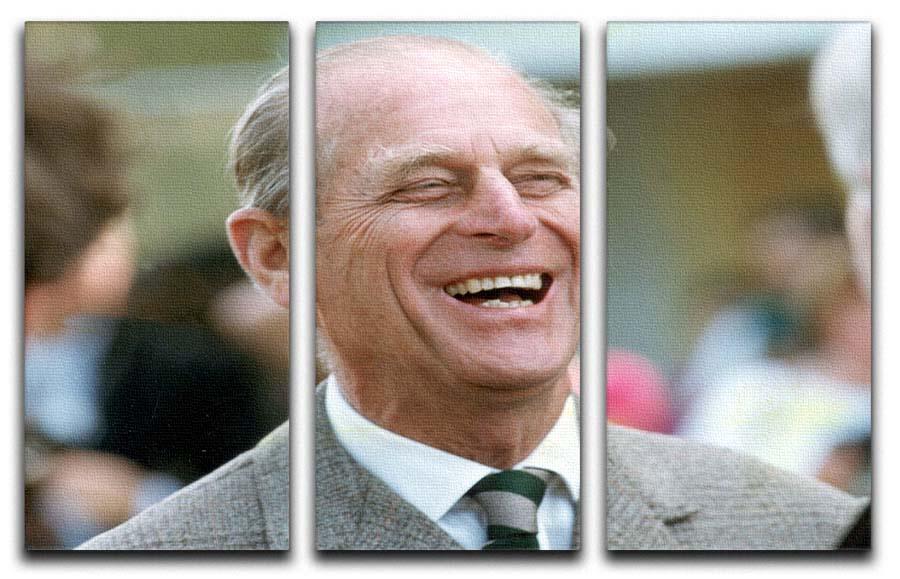 Prince Philip laughing at the Royal Windsor Horse Show 3 Split Panel Canvas Print - Canvas Art Rocks - 1