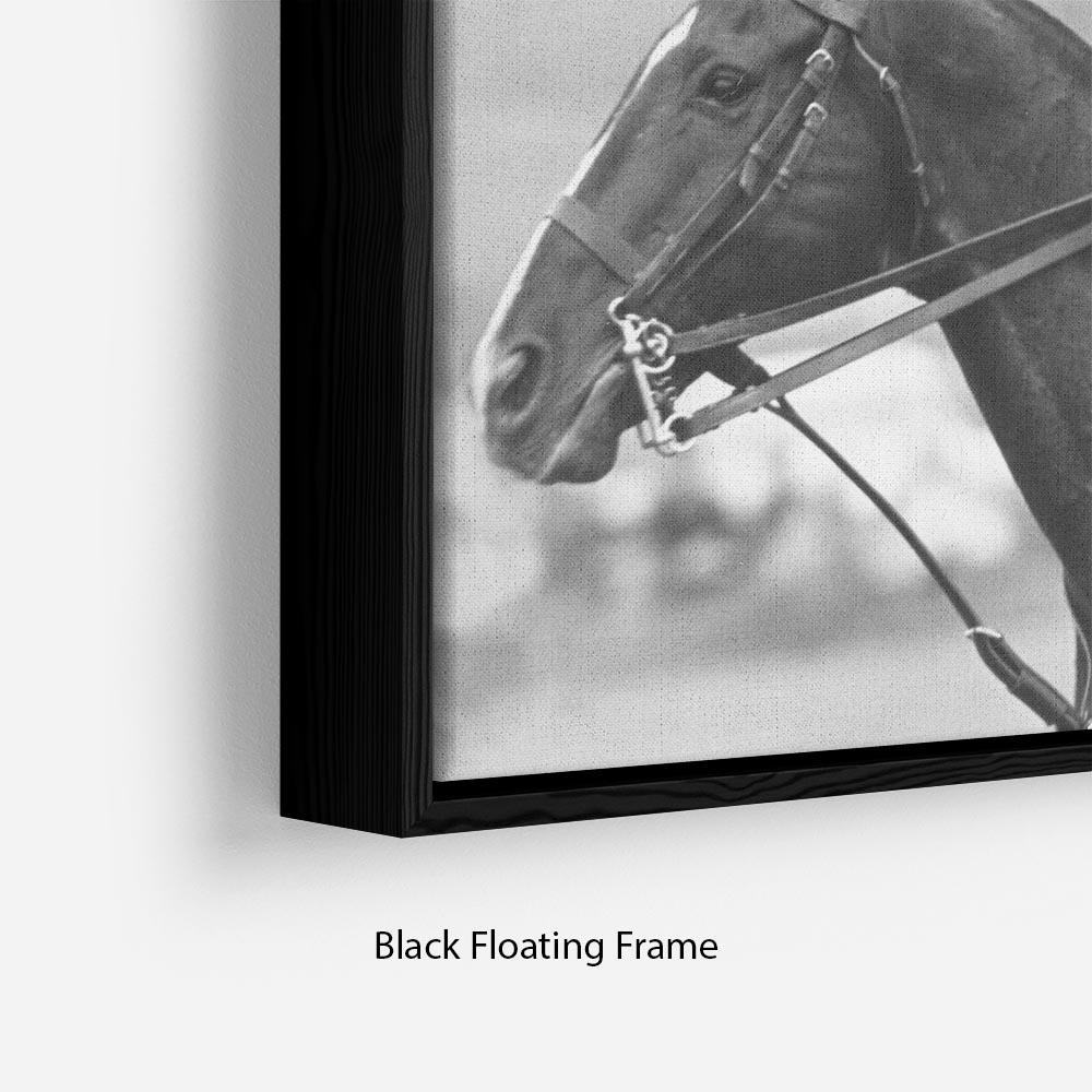 Prince Philip shown winning the polo Gold Cup Floating Frame Canvas